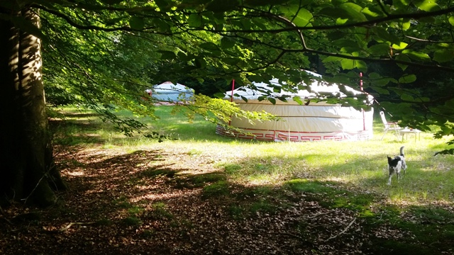 De Yurts in het Kniphorstbosch